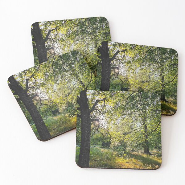 Item preview, Sunlight Through the Woodland Canopy designed and sold by rabeya-asr.