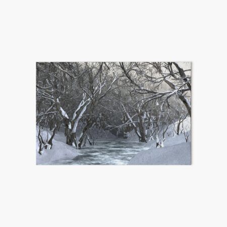 Dapplewood (Winter) Art Board Print