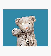 Daniel Striped Tiger - Mr Rogers Photographic Print