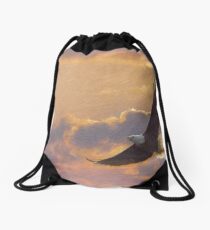 Bald eagle in flight Drawstring Bag