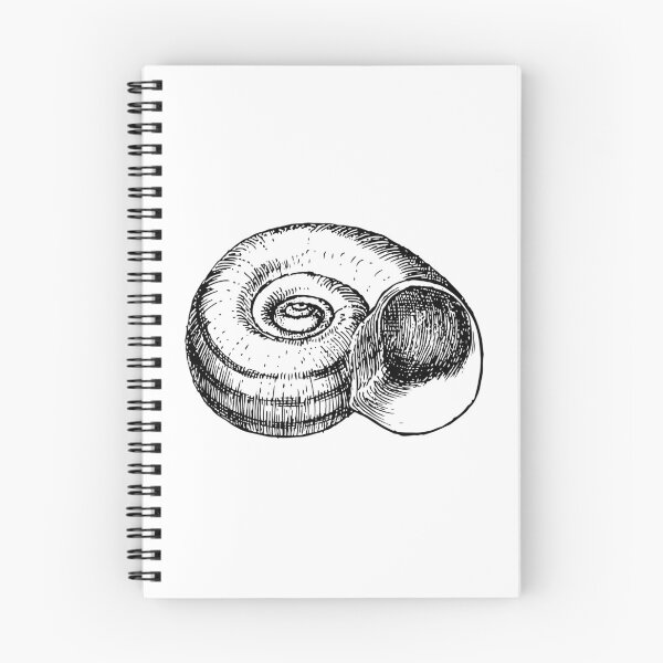 Item preview, Vintage Conch Shell Nautical Engraving Antique Ocean & Seashell Illustration designed and sold by sunnivamla.