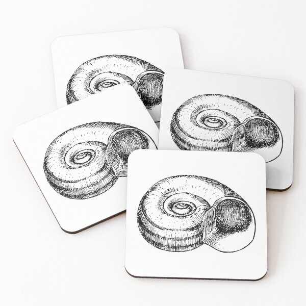Item preview, Vintage Conch Shell Nautical Engraving Antique Ocean & Seashell Illustration designed and sold by sunnivamla.