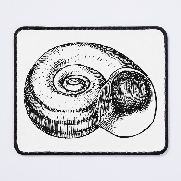 Item preview, Vintage Conch Shell Nautical Engraving Antique Ocean & Seashell Illustration designed and sold by sunnivamla.