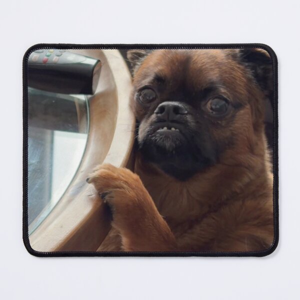 Item preview, David's A Good Boy Reaching For Remote designed and sold by DavidsAGoodBoy.