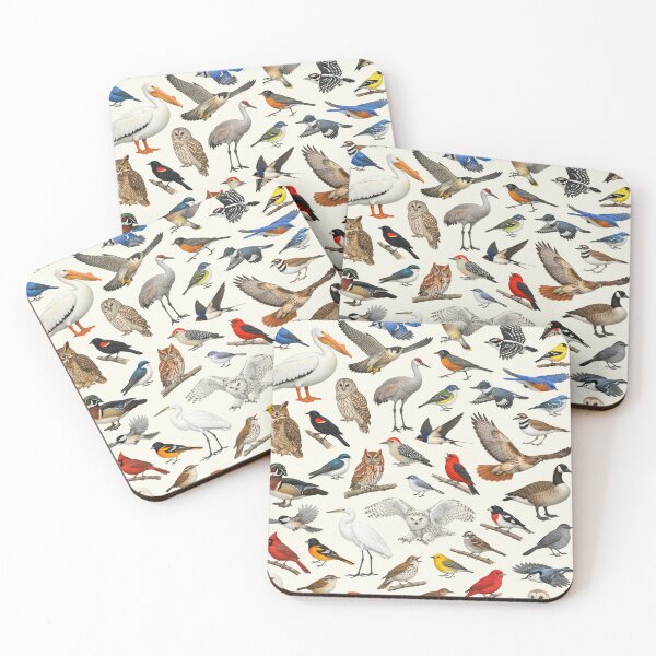 Item preview, Native Birds of Illinois Retro Style Identification Chart designed and sold by kakarikihill.