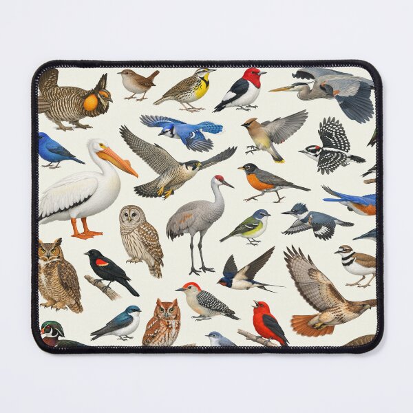 Item preview, Native Birds of Illinois Retro Style Identification Chart designed and sold by kakarikihill.