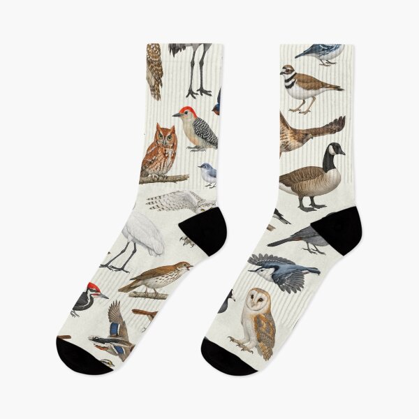 Item preview, Native Birds of Illinois Retro Style Identification Chart designed and sold by kakarikihill.