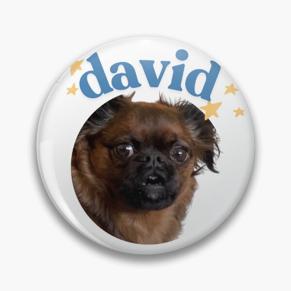 Item preview, David's A Good Boy Shocked Face Portrait designed and sold by DavidsAGoodBoy.