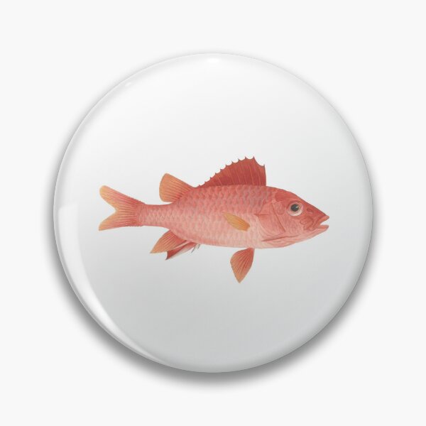 Item preview, Unidentified Fish by Luigi Balugani  designed and sold by shopceline.