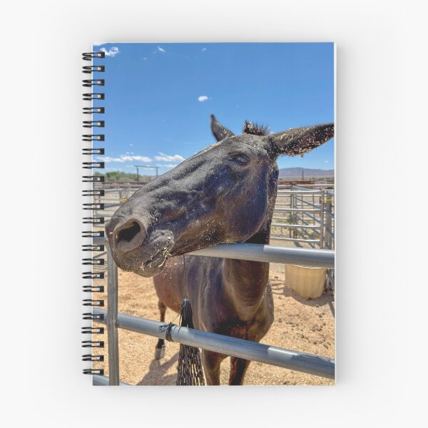 Item preview, Donkey mule with straw wakes up for a visit designed and sold by MYTOPSHELF.