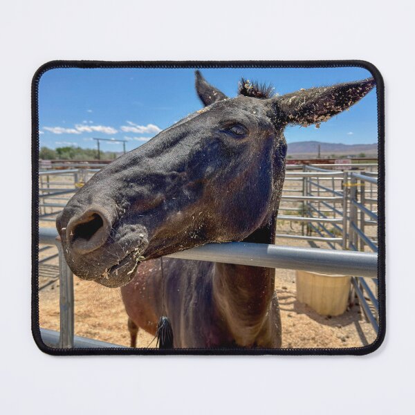 Item preview, Donkey mule with straw wakes up for a visit designed and sold by MYTOPSHELF.