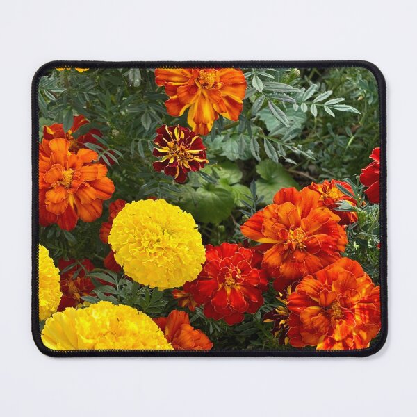 Item preview, Marigold Medley designed and sold by Birds & Beans Photography.