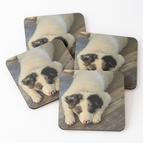 Item preview, Baby Bernie designed and sold by Birds & Beans Photography.