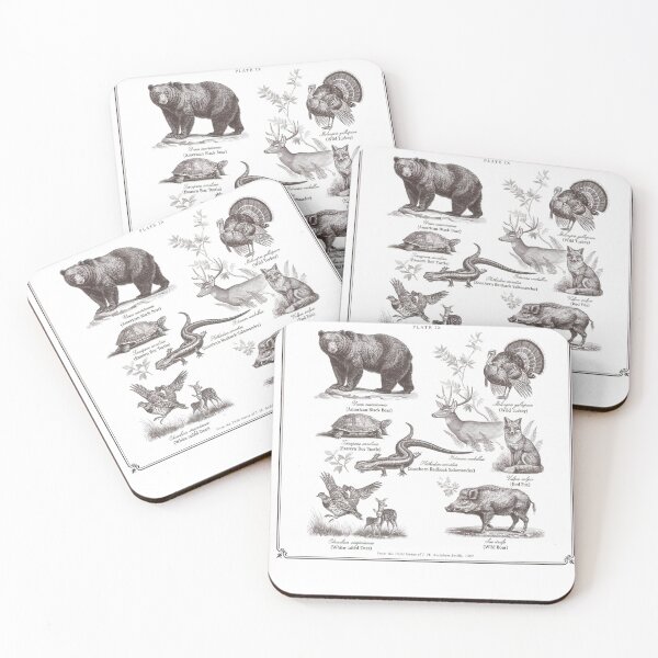 Item preview, Wildlife Naturalist Field Guide of Cades Cove Great Smoky Mountains designed and sold by gotops12.