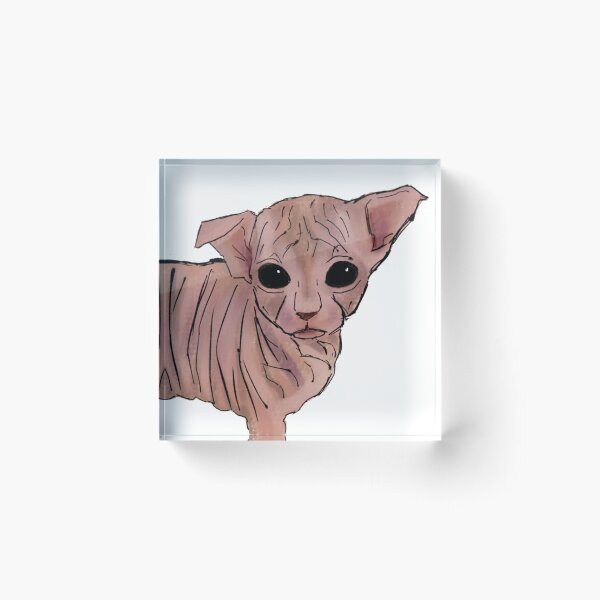 Item preview, Wrinkly Cat designed and sold by str4wberryblush2.0.