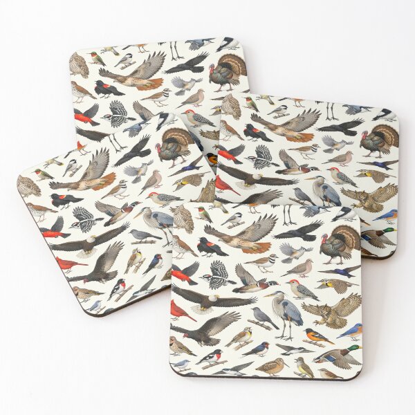 Item preview, Native Birds of Indiana Retro Style Identification Chart designed and sold by kakarikihill.
