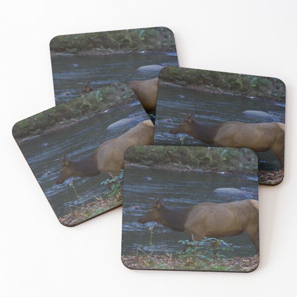 Item preview, Elk by the Autumn River designed and sold by NateNelsonPhoto.