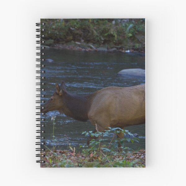 Item preview, Elk by the Autumn River designed and sold by NateNelsonPhoto.