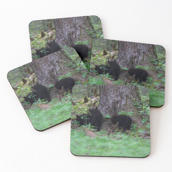 Item preview, Black Bear and Three Cubs designed and sold by NateNelsonPhoto.