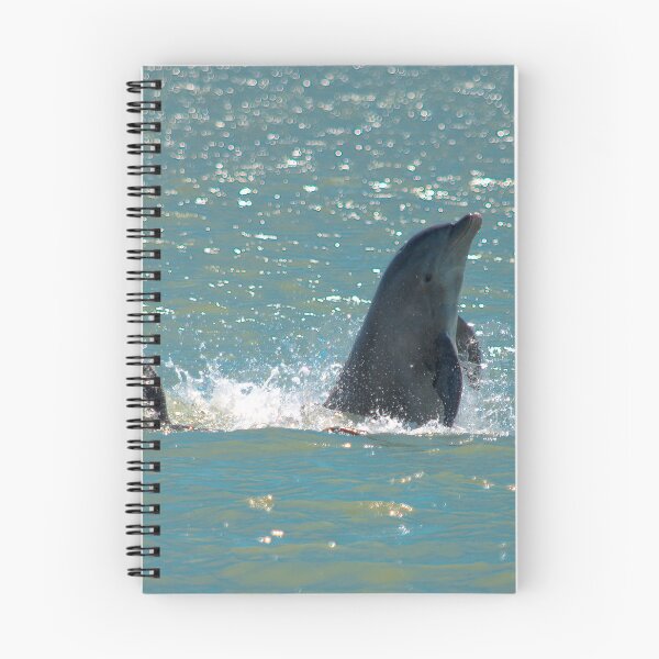 Item preview, Dolphin Playing in Sparkling Water designed and sold by NateNelsonPhoto.