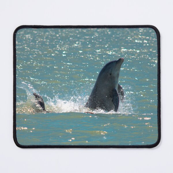 Item preview, Dolphin Playing in Sparkling Water designed and sold by NateNelsonPhoto.