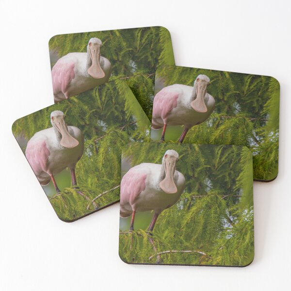Item preview, Roseate Spoonbill in a Cypress Tree designed and sold by NateNelsonPhoto.