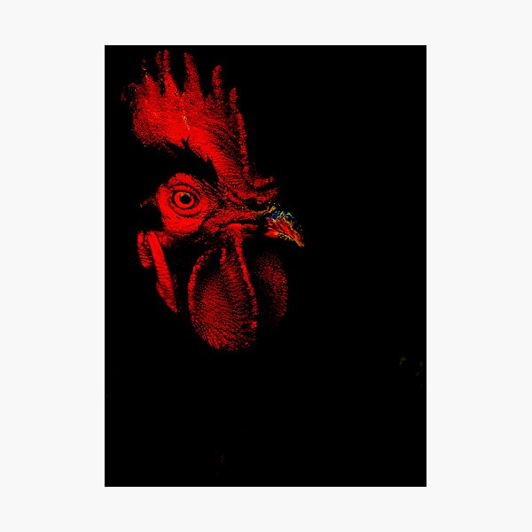 Item preview, Red Rooster Red Rooster! designed and sold by RealPainter.