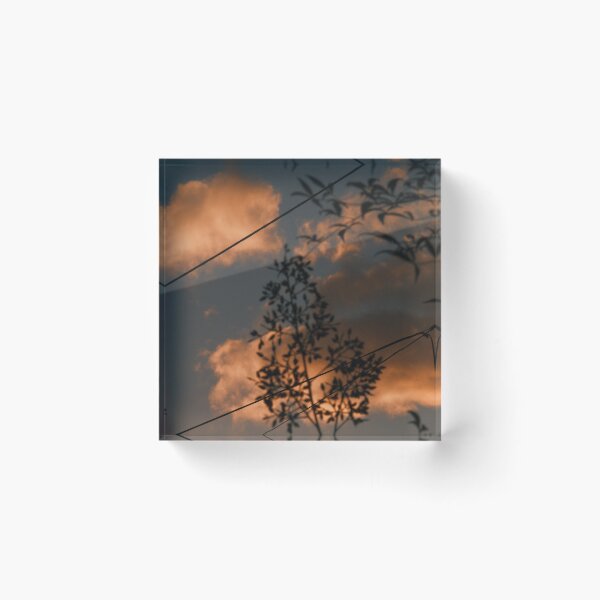 Item preview, shadowed trees at sunset designed and sold by Stylecontent91.