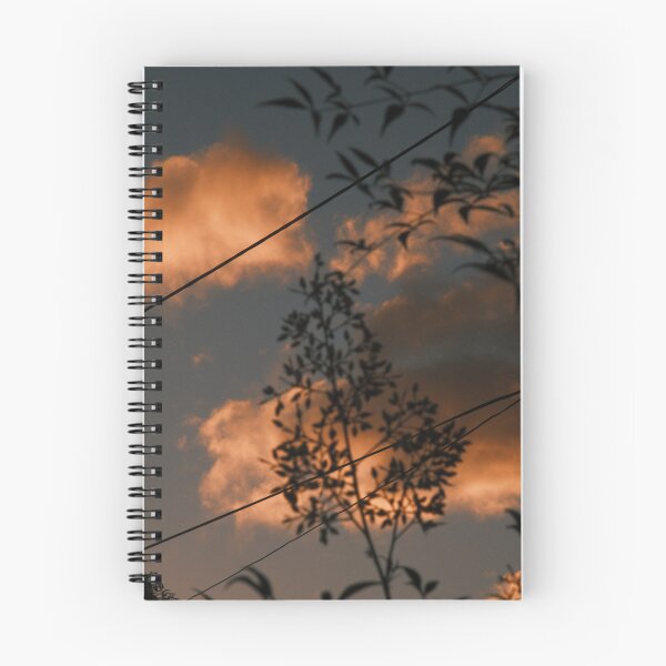 Item preview, shadowed trees at sunset designed and sold by Stylecontent91.