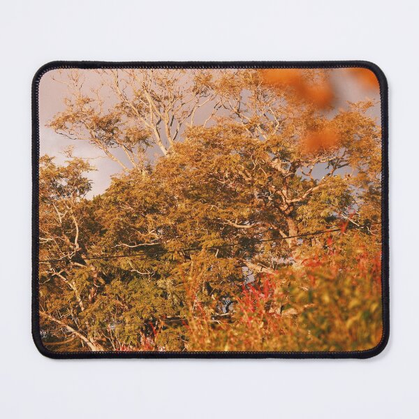 Item preview, Autumn trees designed and sold by Stylecontent91.