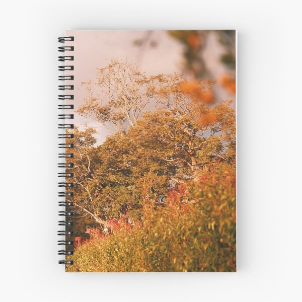 Item preview, Autumn trees designed and sold by Stylecontent91.