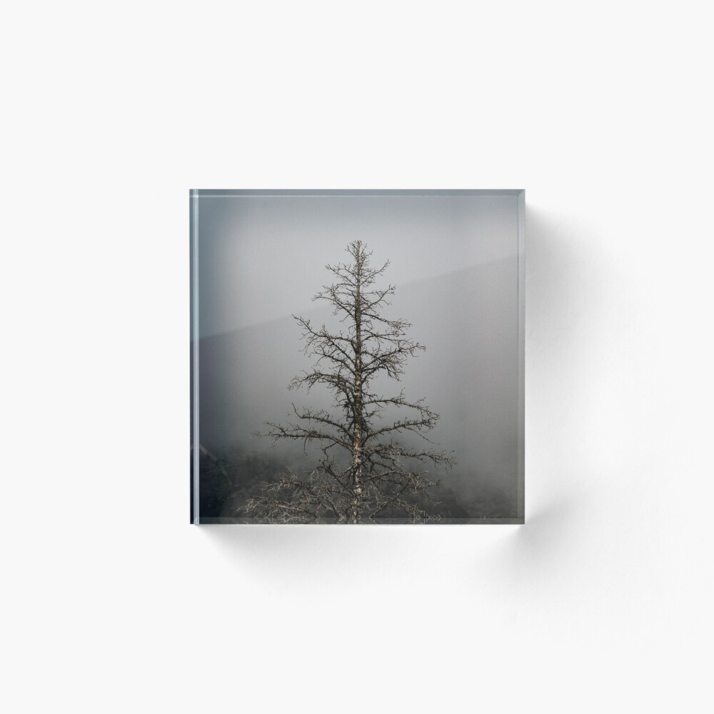 Item preview, Acrylic Block designed and sold by IZ Visuals.