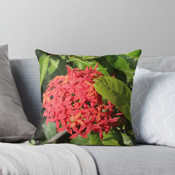 Item preview, Red Ixora Flower Cluster in Sunshine designed and sold by 27Tammy27.