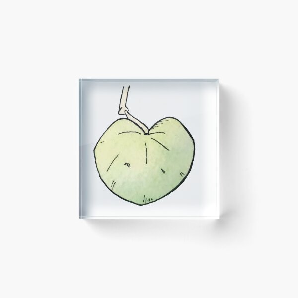 Item preview, Peperomia Serpens Heart Leaf Watercolor Sticker designed and sold by LemonJulesArt.