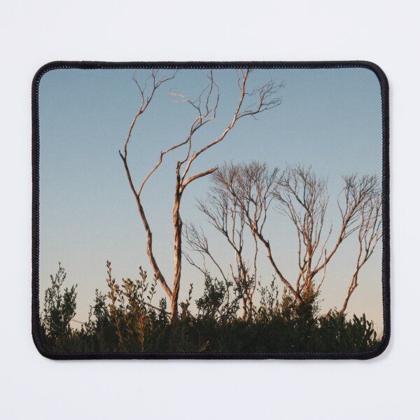 Item preview, Trees in the sunset shadows designed and sold by Stylecontent91.