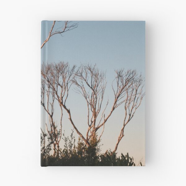 Item preview, Trees in the sunset shadows designed and sold by Stylecontent91.