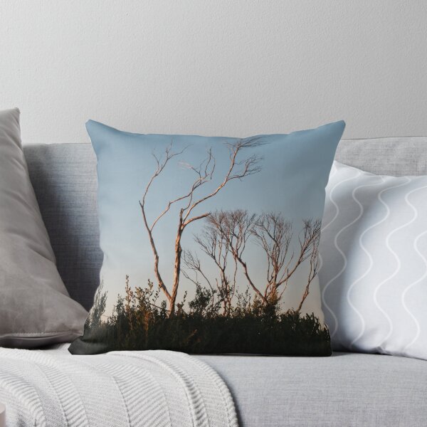 Item preview, Trees in the sunset shadows designed and sold by Stylecontent91.