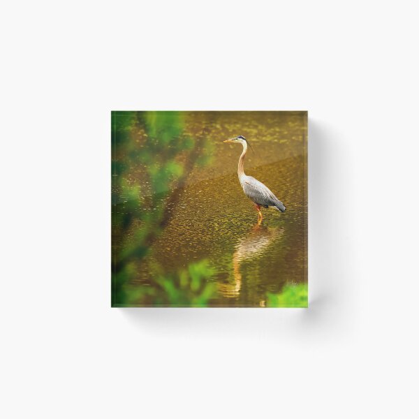 Item preview, Taking a Moment To Reflect designed and sold by Lois  Bryan.