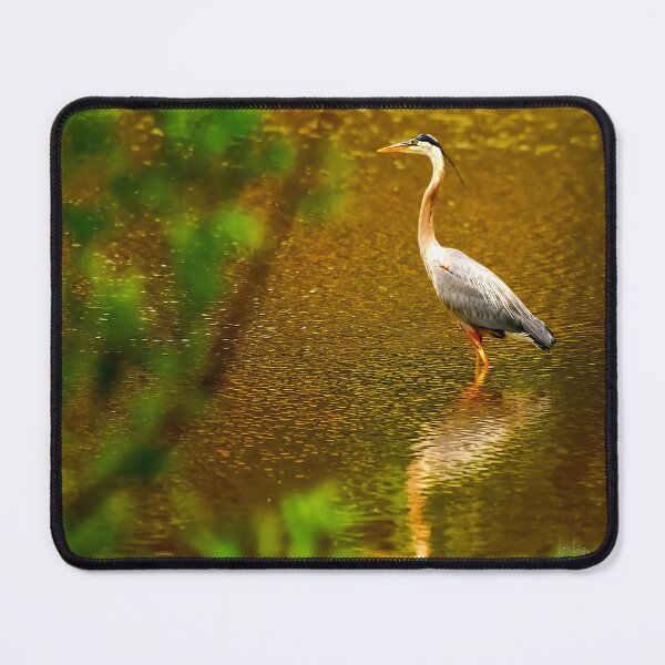 Item preview, Taking a Moment To Reflect designed and sold by Lois  Bryan.