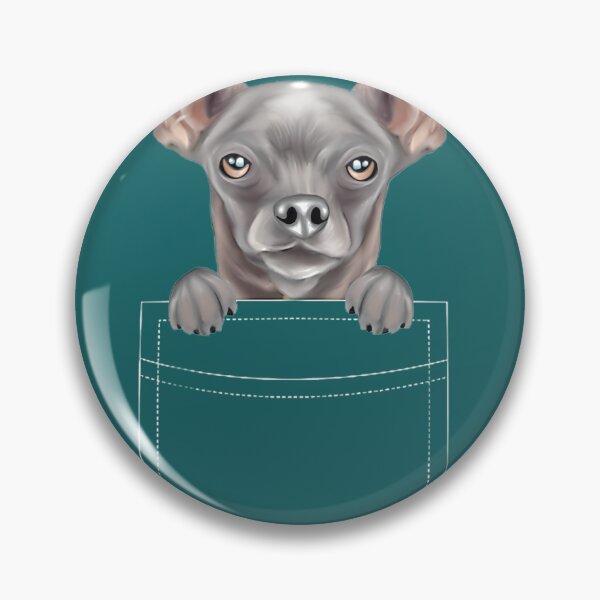Item preview, Black Chihuahua Dog In Pocket Funny Dog Lover Men Women Girls Kidspng designed and sold by MatthewhhyOver.