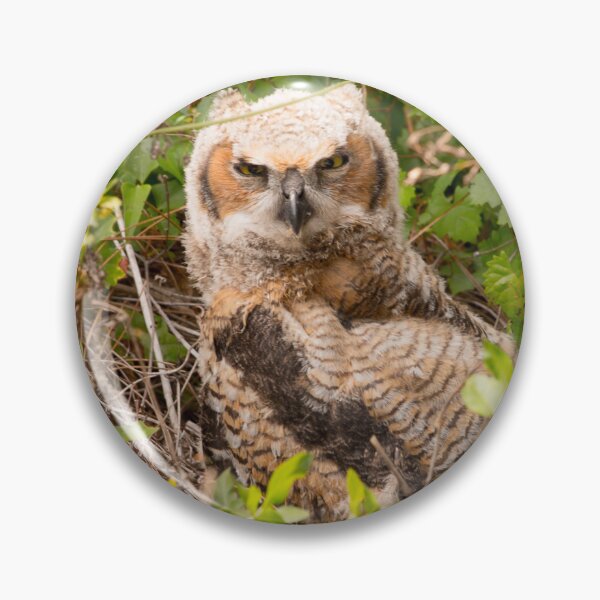Item preview, Great Horned Owl in the Brush designed and sold by NateNelsonPhoto.