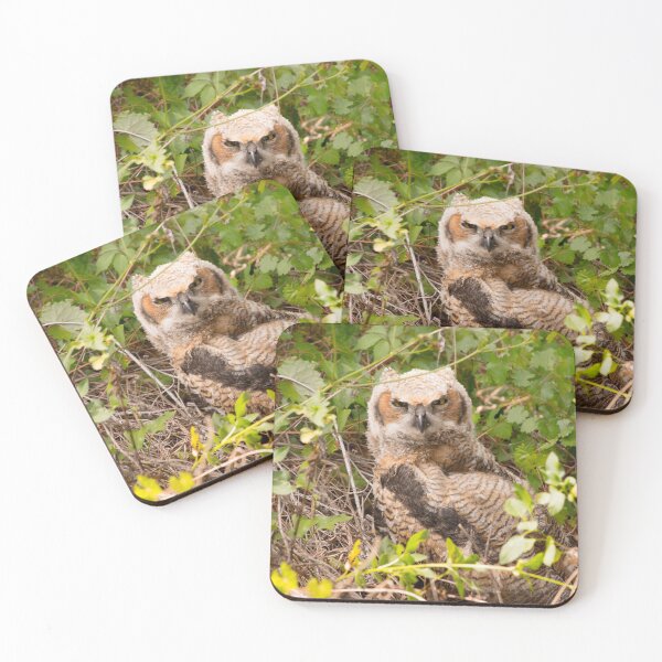 Item preview, Great Horned Owl in the Brush designed and sold by NateNelsonPhoto.