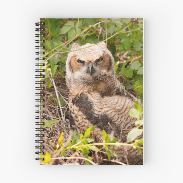 Item preview, Great Horned Owl in the Brush designed and sold by NateNelsonPhoto.