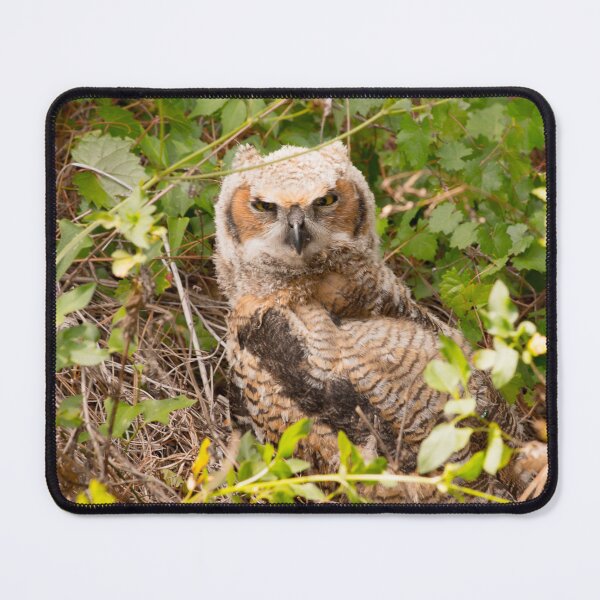 Item preview, Great Horned Owl in the Brush designed and sold by NateNelsonPhoto.