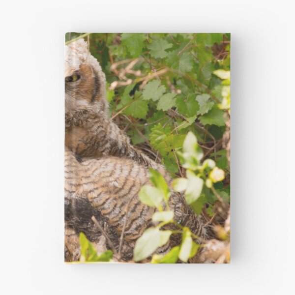 Item preview, Great Horned Owl in the Brush designed and sold by NateNelsonPhoto.