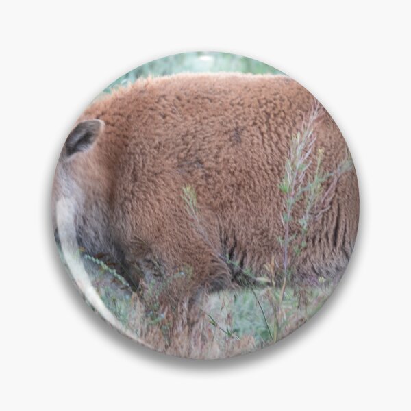 Item preview, Bison Calf in the Sagebrush designed and sold by NateNelsonPhoto.