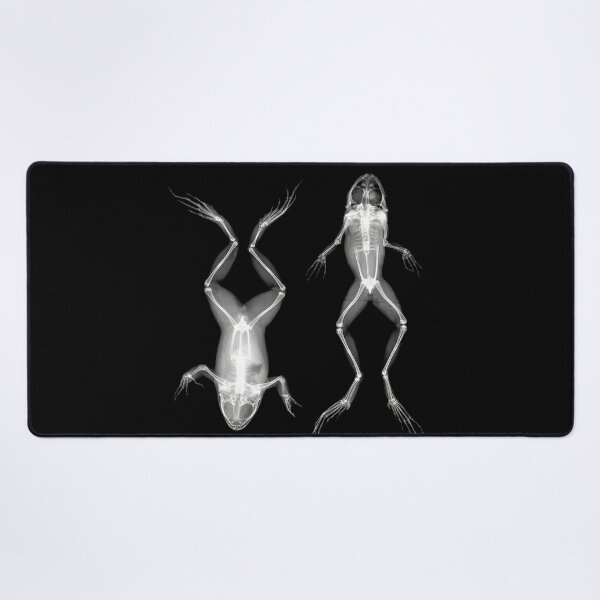 Item preview, Frogs in Prone and Supine Positions (Frösche in Bauch- und Rückenlage) designed and sold by The Ravens Ballad.