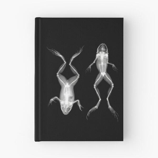 Item preview, Frogs in Prone and Supine Positions (Frösche in Bauch- und Rückenlage) designed and sold by The Ravens Ballad.