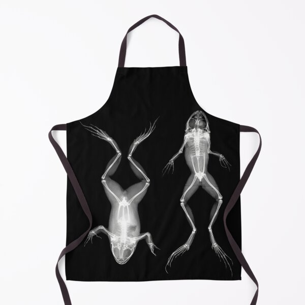 Item preview, Frogs in Prone and Supine Positions (Frösche in Bauch- und Rückenlage) designed and sold by The Ravens Ballad.