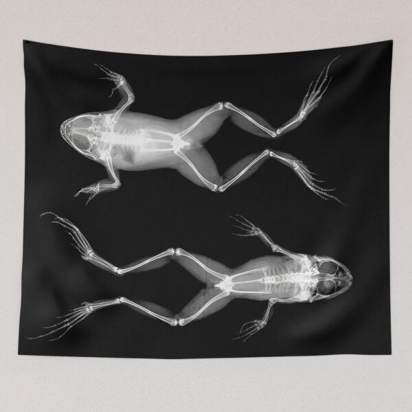 Item preview, Frogs in Prone and Supine Positions (Frösche in Bauch- und Rückenlage) designed and sold by The Ravens Ballad.